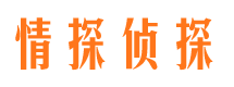 尖山市婚姻调查